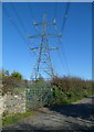 Electricity pylon on the east side of Station Road, Llanfairpwll