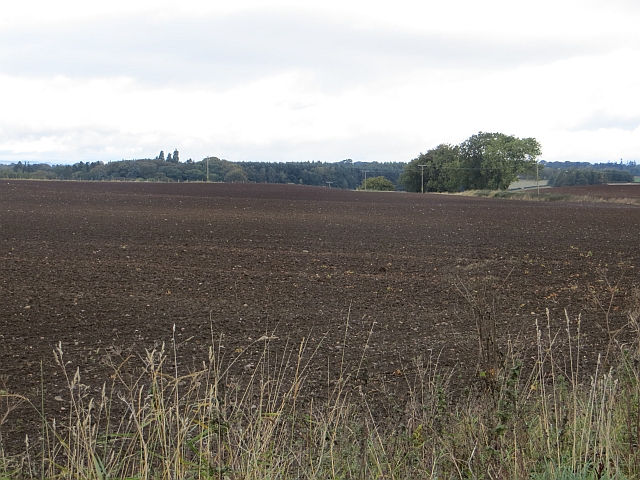 Cultivated field near Balbeggie