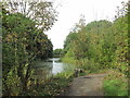 Barnsley Canal near the Dearne Valley Park