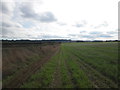 Footpath towards Sunny Bank