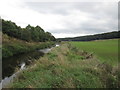 The River Dearne south of Storrs Mill