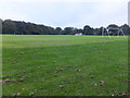 Football pitch, Tweedmouth Park