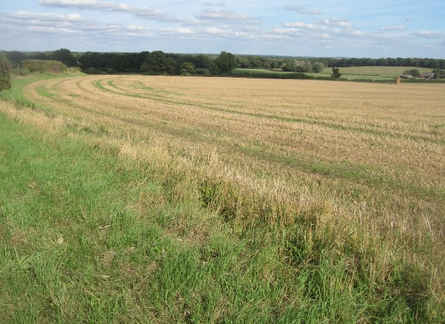 Fields near Lower Farm