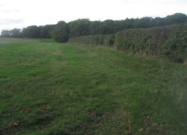 Field boundary by May's Copse