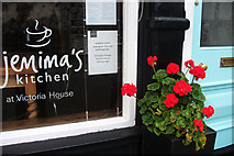 SO4593 : Geraniums outside Jemima's Kitchen by michael ely