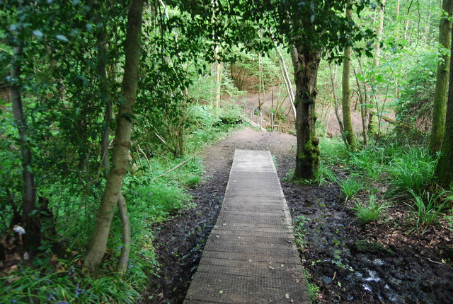 Tunbridge Wells Circular Walk in Sproud's Wood