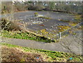 Former playground, Velindre, Port Talbot