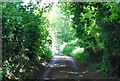 Tunbridge Wells Circular Walk entering Rusthall