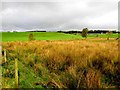 Envagh Townland