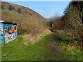 Track through the Afan Valley