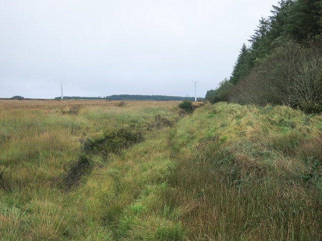Wind farm and forestry