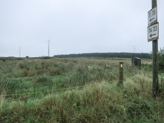 Wind farm, moorland, forestry