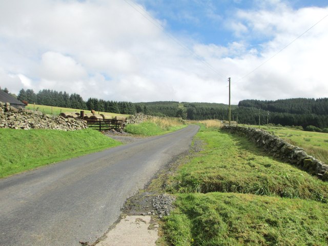 The road to Loch Ettrick
