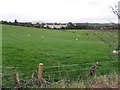 Drumnaforbe Townland