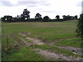 TM3093 : Field entrance off the B1332 Norwich Road by Geographer