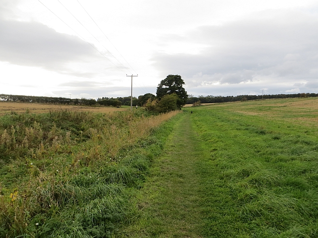 Path to Letham Holdings