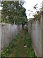 Footpath off Douglas Avenue, Exmouth