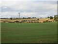 Field east of Balbeggie