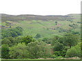 The wooded valleys of Penchford and Grasslees Burns