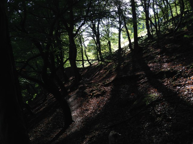 Sunlight in Cragg Vale woodland path