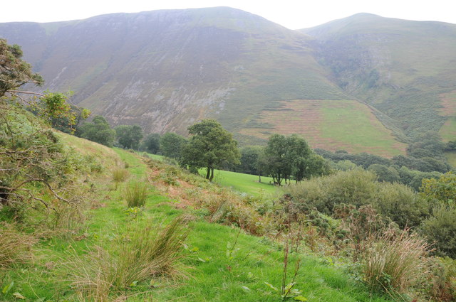 Mountainside above Llanymawddwy