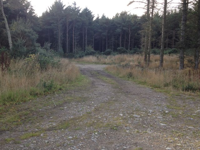 Access to Arboll Wood
