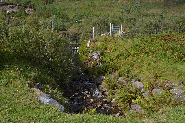 Stream and gate into forestry