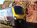 Train near Dawlish