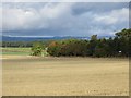 Stubble, Buttergask