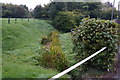 A stream at Danemore Lane