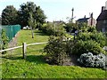 Village gardens beside the High Street