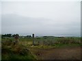 Farmland awest of Carnduff