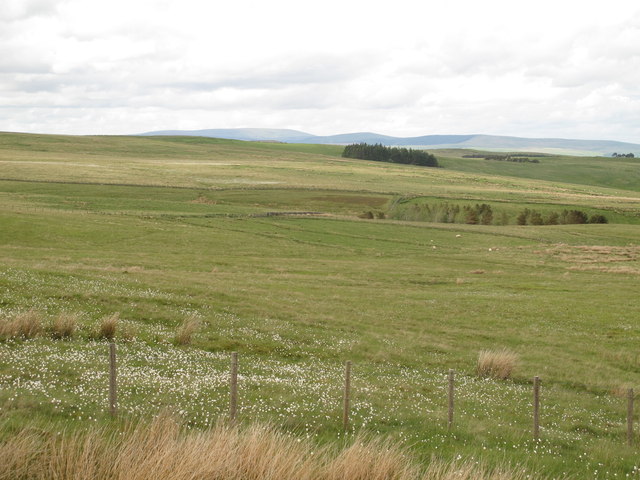 The headwaters of Elsdon Burn and Loaning Burn