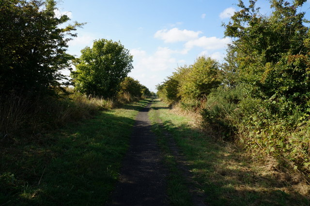 The former Withernsea to Hull rail line