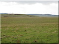 NY8896 : Moorland northeast of Blakeman's Law by Mike Quinn