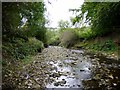 Whittle Burn near its junction with River Tyne