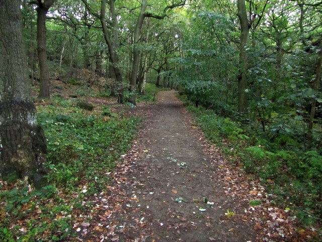 Footpath in Hawksworth Wood © Chris Heaton :: Geograph Britain and Ireland