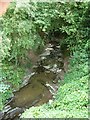 Cwm Llanfair brook