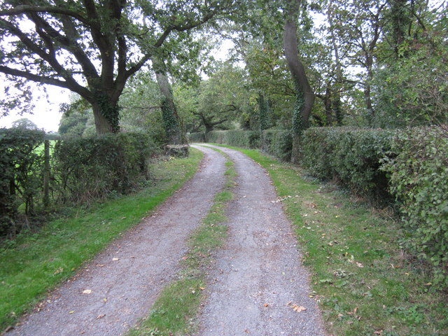 Lane to Newbold