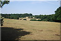 Farmland, Scadbury Park