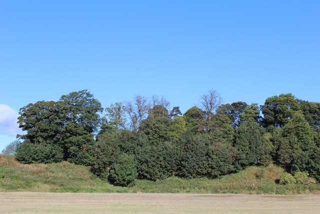 Stubble Field & Woodland south of Househill Farm