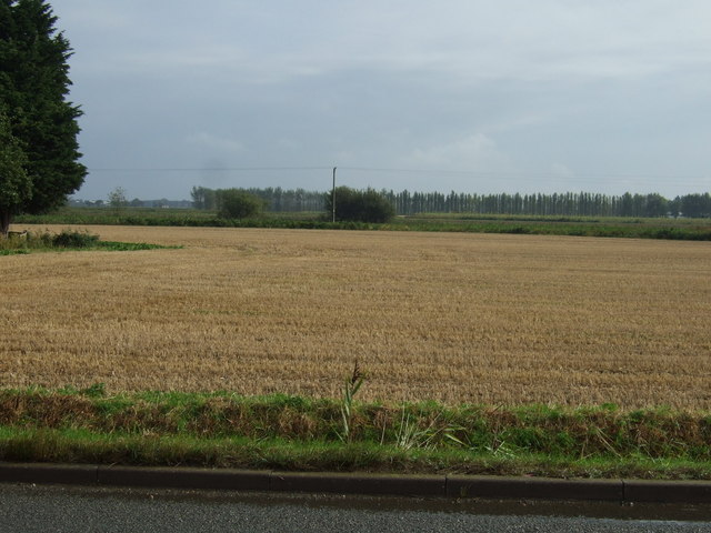 Farmland, Pinchbeck West