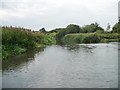 Stream entering the Kennet & Avon canal