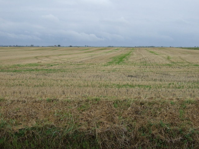 Farmland west of Spinney Farm