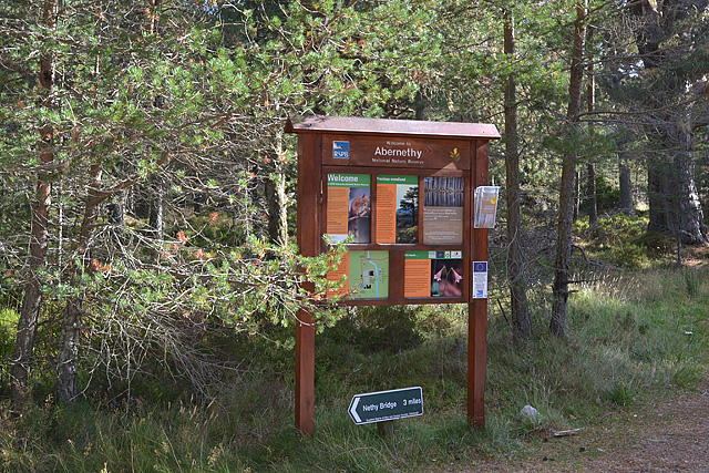 Information board near Forest Lodge