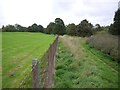 NZ0863 : Riverside path south of Ovingham Middle School by Andrew Curtis