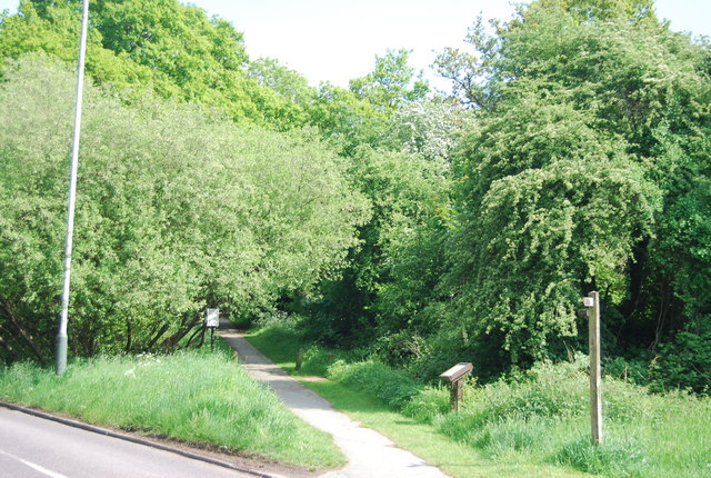 Footpath, Rusthall Common