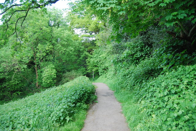 Footpath from Rusthall