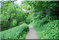 Footpath from Rusthall