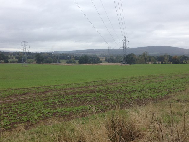 Electricity transmission lines crossing farmland near Brahan Estate